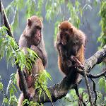 ��ɽȤ����д